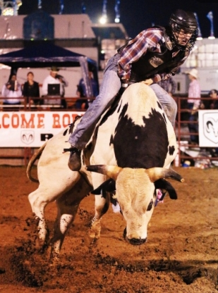 Ride 'em, Cowboy by KIRSTEN BALLARD, photo by MELISSA KEY